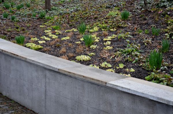 Concrete Wall Construction in Columbia