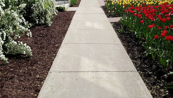 Sidewalk Slab Replacement in Columbia