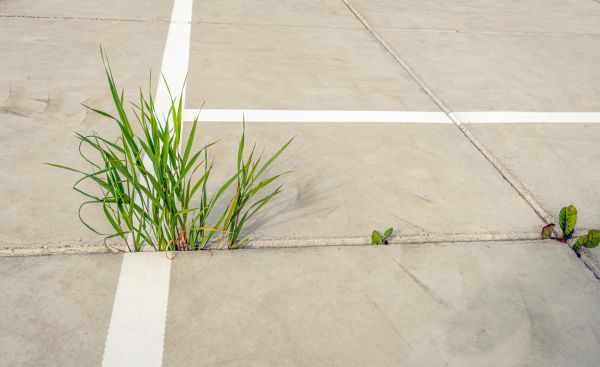 Concrete Parking Installation in Columbia