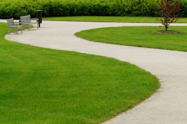 Sidewalk Installation in Columbia